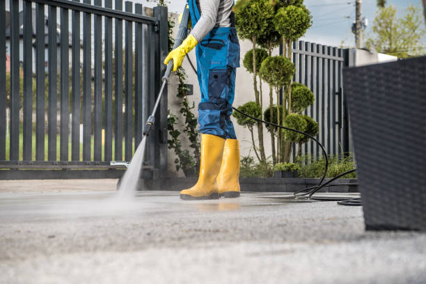 Best Solar Panel Cleaning  in Wheeler, TX